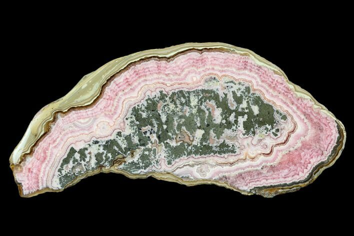 Rhodochrosite Stalactite Section - Argentina #113400